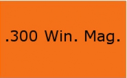 .300 Win Mag