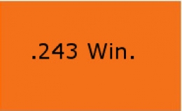 .243 Win.