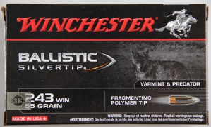 Winchester .243 Win. Ballistic Silvertip, вес 3,7 гр., (55 гран) 20 шт.